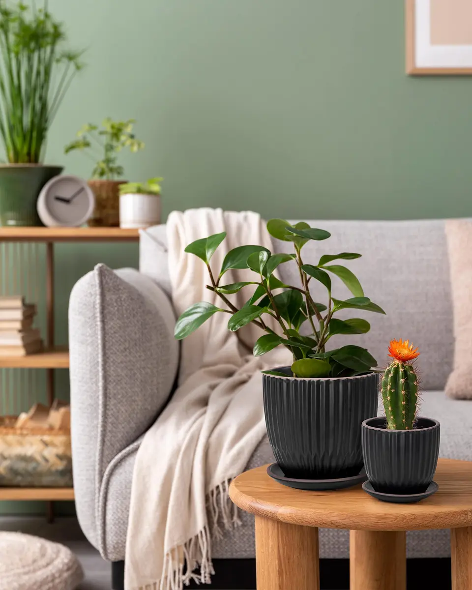 D'vine Dev 2-Pack Stoneware Planter Pots, 4.5/5.8 in, Black | Modern Ceramic Planters for Indoor & Outdoor Use - view 5