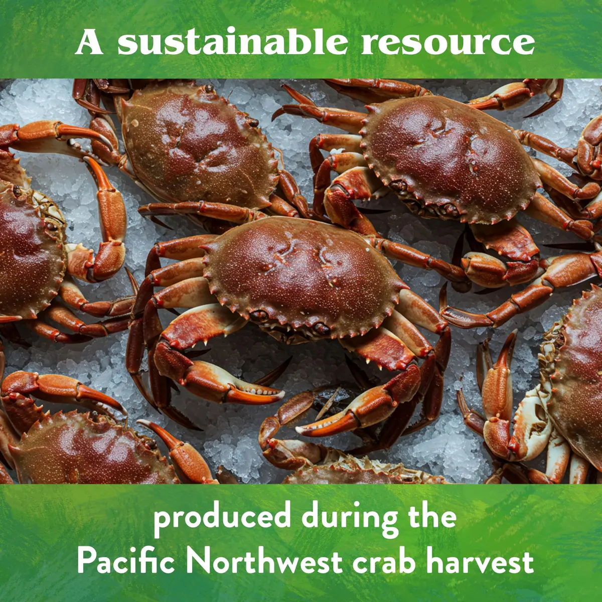 Down To Earth All Natural Fertilizers Organic Crab Meal - 4 lb | Organic, Slow-Release, Supports Soil Microbes - view 7