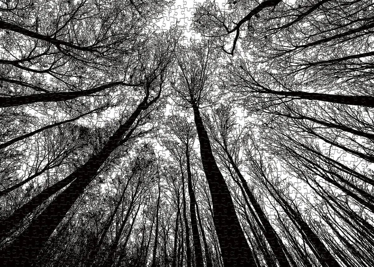 BBOLDIN Impossible Puzzle 1000 Piece, Challenging Difficult Puzzles for Adults, Hard Jigsaw Puzzles for Adults | Black White Forest Silhouette - view 2
