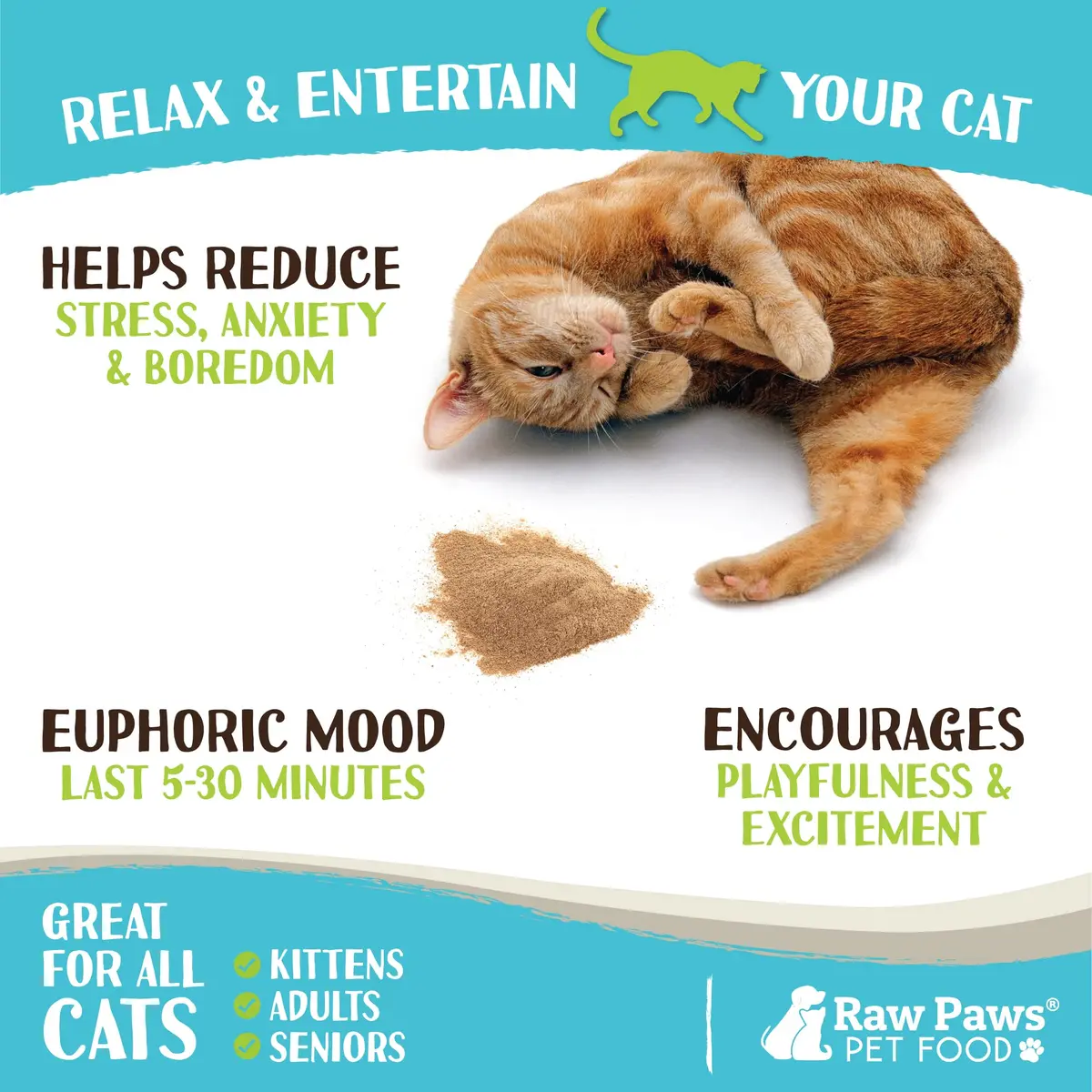 Raw Paws Silvervine Powder 75g (2.6 oz) | Potent Catnip Alternative for Indoor Cats - view 3