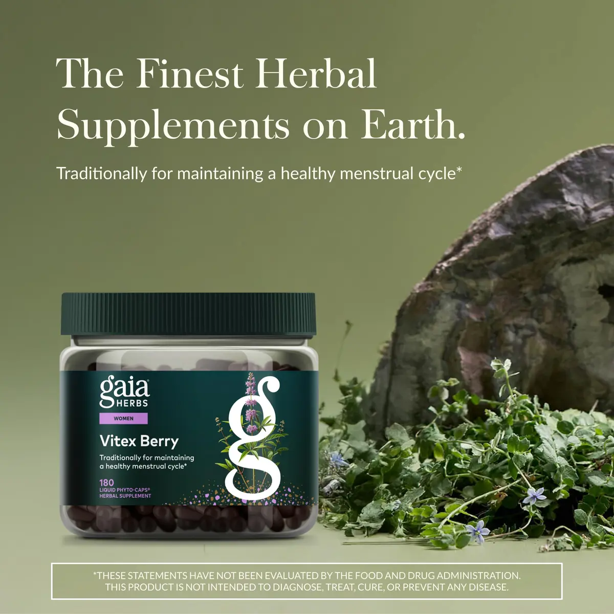 Gaia Herbs Vitex Berry Liquid Herbal Supplement 1000 mg Vegan Phyto-Caps | Supports Hormone Balance for Women - view 2