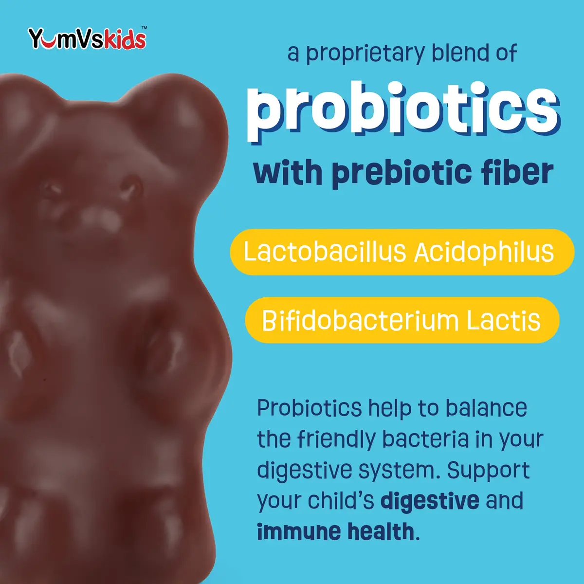 YUM-V'S Kids Probiotic Chocolate Bears 60 Count | 1 Billion CFU, Gluten-Free, Kosher & Halal (120g) - view 3
