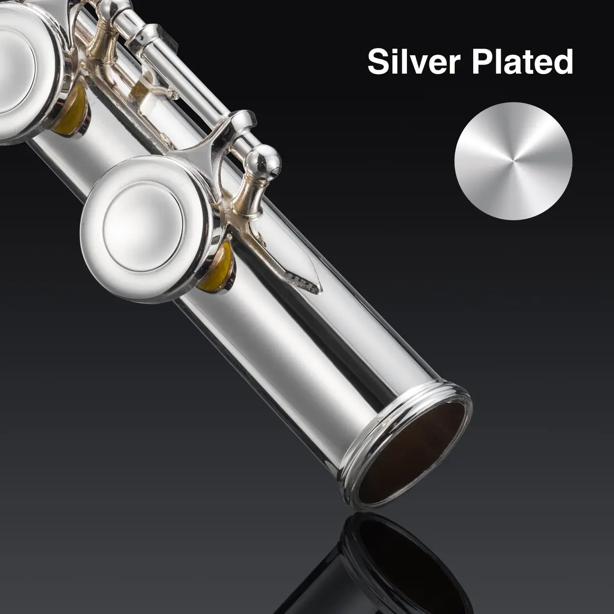 POGOLAB Open Hole C Flute 16 Keys Silver Plated Beginner & Advanced with Carry Bag - view 8