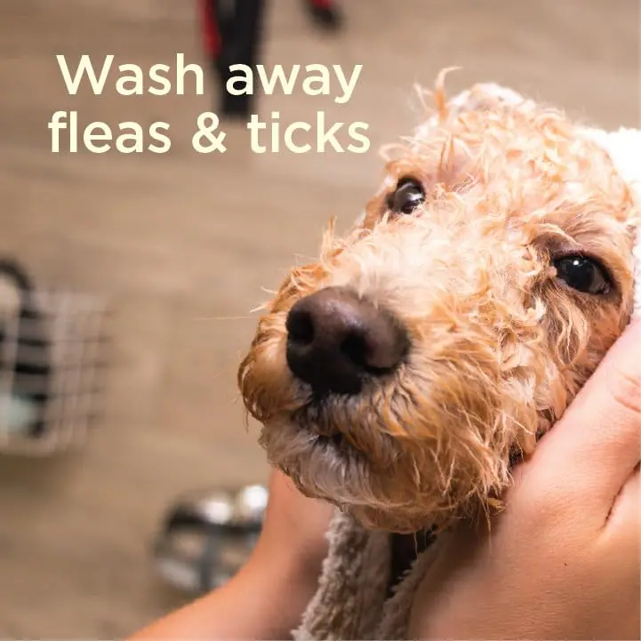 SimpleSource Flea & Tick Shampoo for Dogs 12oz | Plant-Powered Flea & Tick Control - view 15