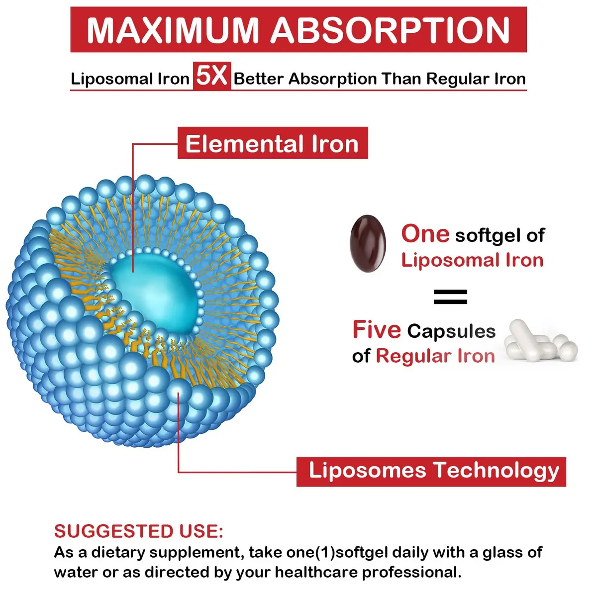 Sapotax Liposomal Fe Iron Supplement 65 mg | Blood & Energy Support for Adults - view 3