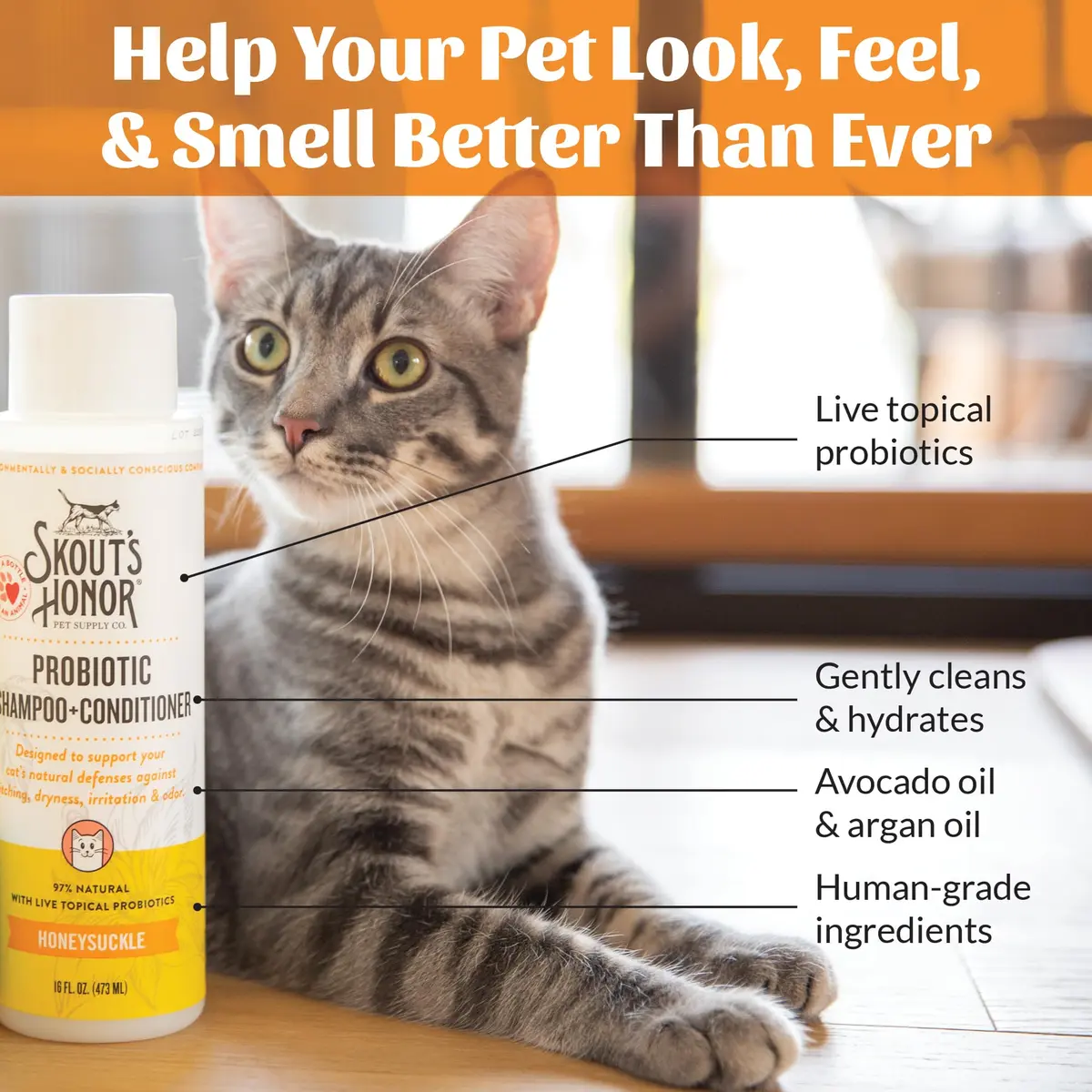 SKOUT'S HONOR Probiotic Cat Shampoo and Conditioner - Honeysuckle, 16 oz | Natural, 97% Organic, Hydrating & Cruelty-Free - view 5