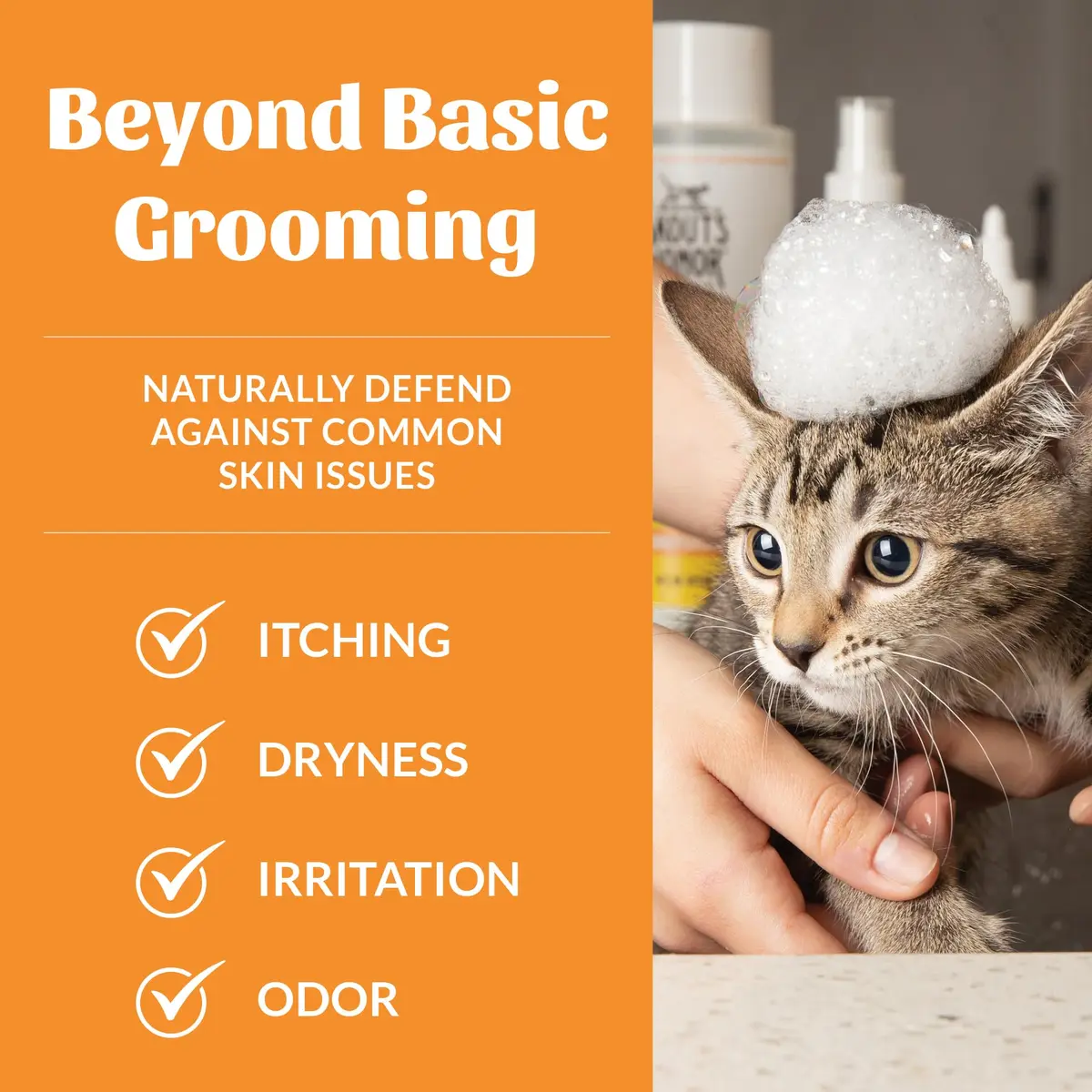 SKOUT'S HONOR Probiotic Cat Shampoo and Conditioner - Honeysuckle, 16 oz | Natural, 97% Organic, Hydrating & Cruelty-Free - view 3