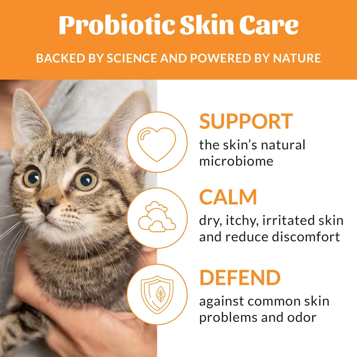 SKOUT'S HONOR Probiotic Cat Shampoo and Conditioner - Honeysuckle, 16 oz | Natural, 97% Organic, Hydrating & Cruelty-Free - view 4
