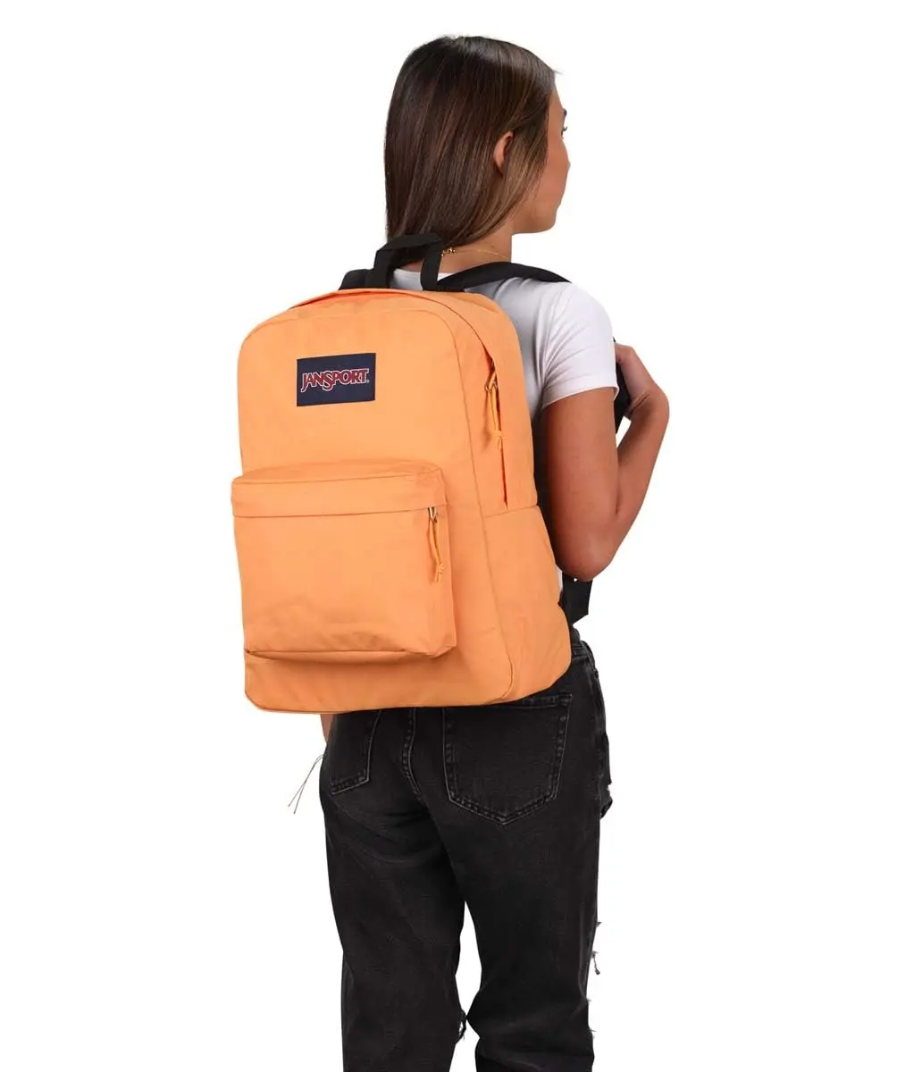 JanSport SuperBreak Backpack 26L (16.5 x 12.5 x 5.5 in) | Water-Resistant Daypack with Laptop Sleeve & Bottle Pocket - view 6