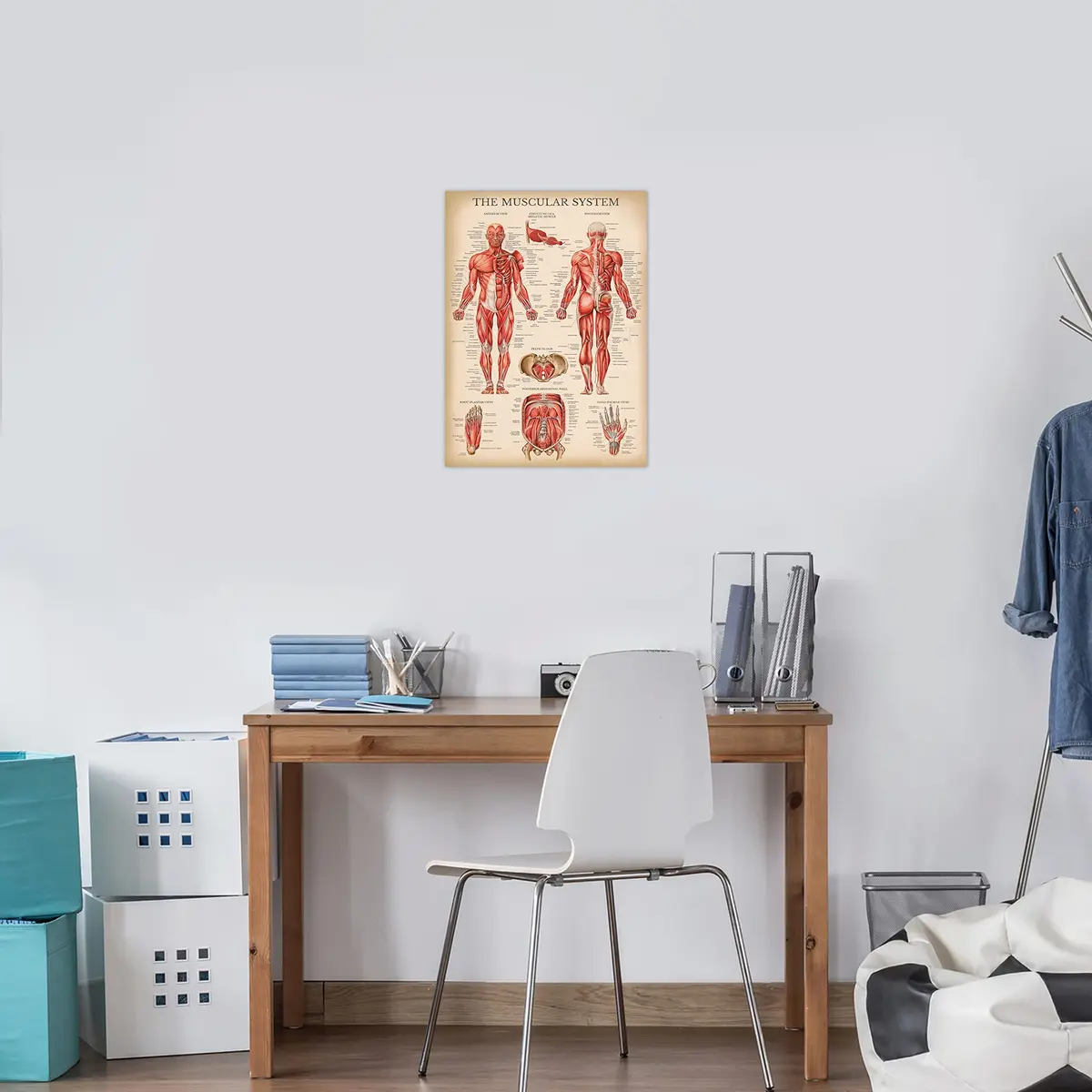 Palace Learning 3 Pack - Vintage Anatomy Posters | Muscular, Skeleton & Nervous System Charts - Laminated 45.72cm x 60.96cm - view 5
