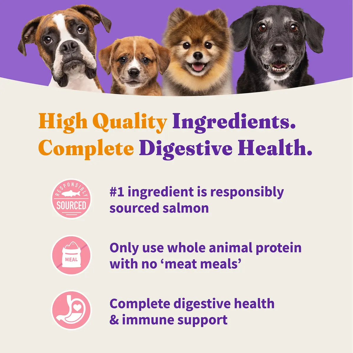 Halo Holistic Dry Dog Food, Wild-Caught Salmon & Whitefish Recipe, 3.5 lb | Supports Digestive & Skin Health - view 6