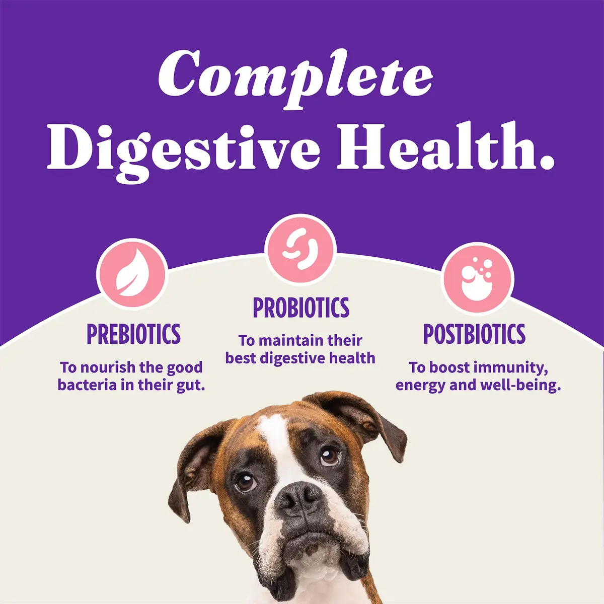 Halo Holistic Dry Dog Food, Wild-Caught Salmon & Whitefish Recipe, 3.5 lb | Supports Digestive & Skin Health - view 8