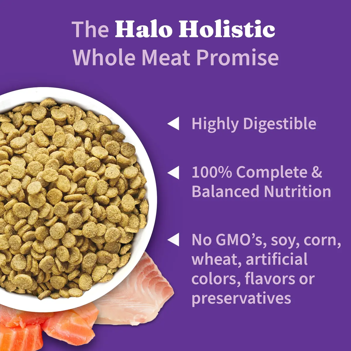 Halo Holistic Dry Dog Food, Wild-Caught Salmon & Whitefish Recipe, 3.5 lb | Supports Digestive & Skin Health - view 4