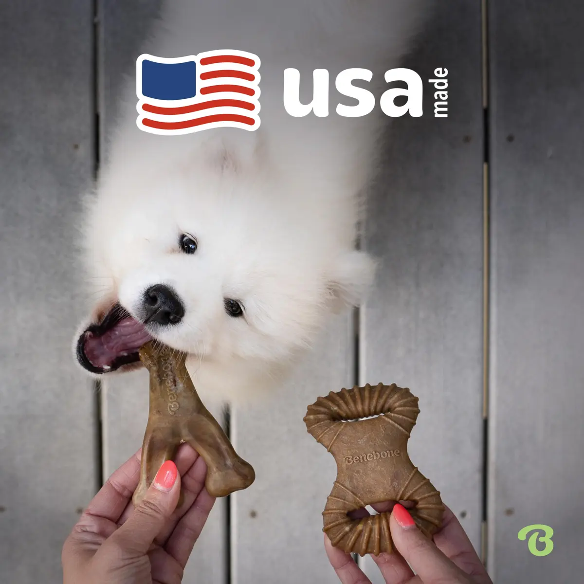 Benebone 2-Count Wishbone/Dental Dog Chew Toys, Small | Real Bacon, Durable Nylon, Made in USA - view 5