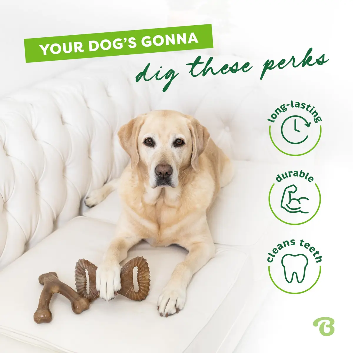 Benebone 2-Count Wishbone/Dental Dog Chew Toys, Small | Real Bacon, Durable Nylon, Made in USA - view 3