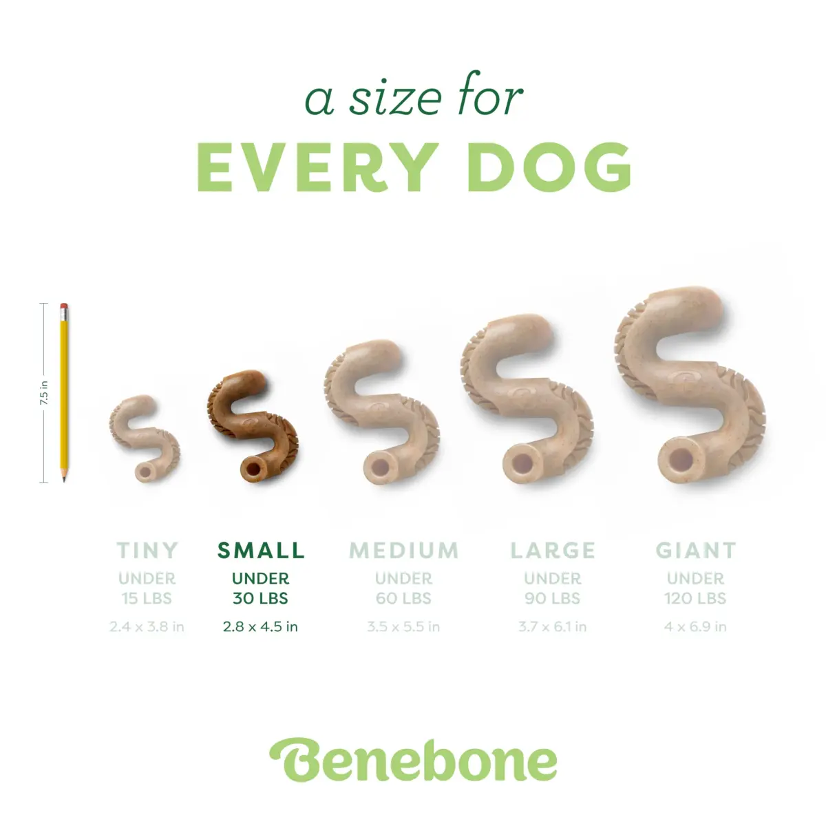 Benebone Brown Tripe Bone Dog Chew Toy - Small Size for Aggressive Chewers - view 4