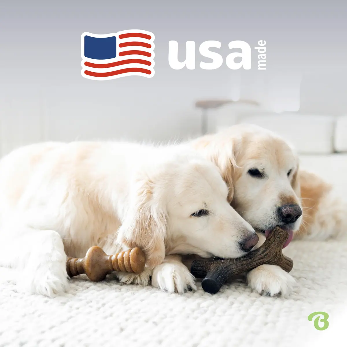 Benebone 2-Pack Maplestick & Zaggler Durable Dog Chew Toys, Large | Real Bacon & Maple Flavors, Made in USA - view 5