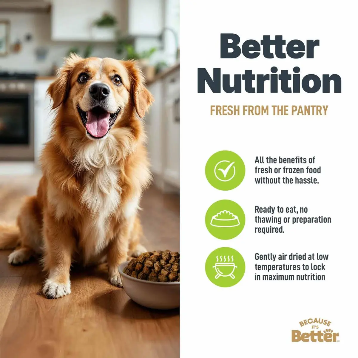 Because It's Better Air-Dried Dog Food, Chicken & Veggies, 1 lb | Slow-baked, grain-free nutrition for all dogs - view 5