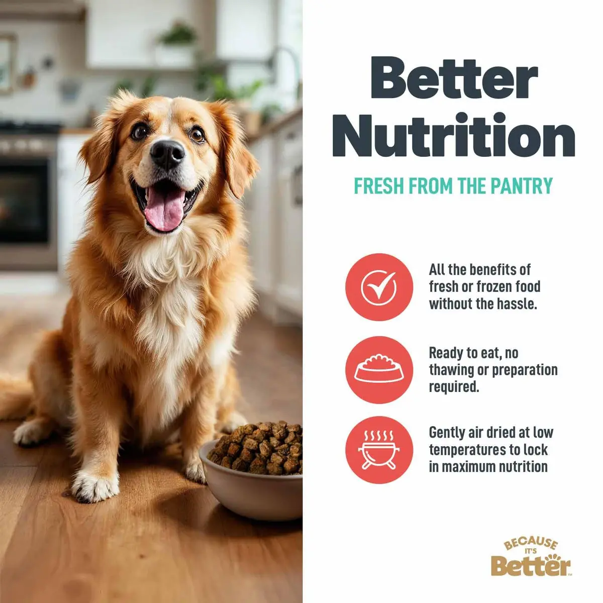 Because it's Better Semi Moist Prime Beef Dog Food 16 oz | Slow Baked & Air Dried for Natural Nutrition - view 6