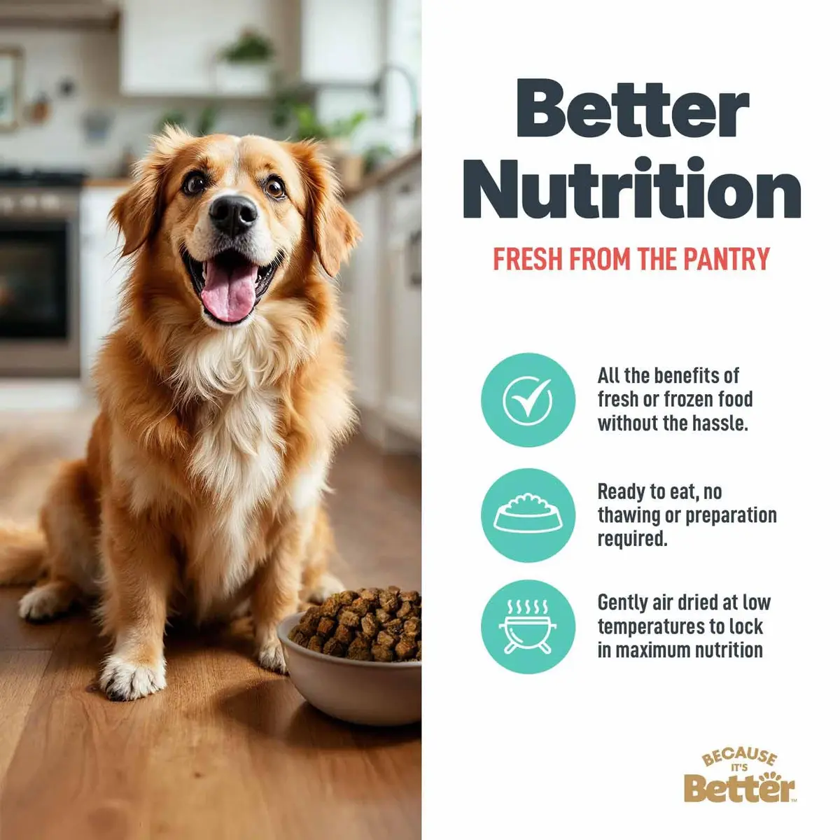 Because It's Better Air-Dried Dog Food, Salmon & Veggies, 1 lb | Supports Healthy Skin & Coat - view 5