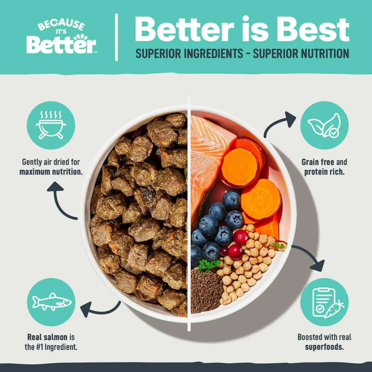 Because It's Better Air-Dried Dog Food, Salmon & Veggies, 1 lb | Supports Healthy Skin & Coat - view 2