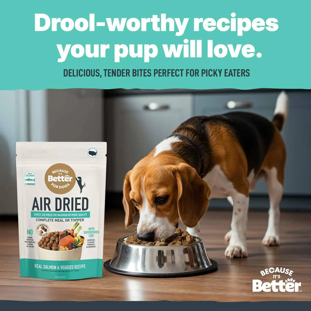 Because It's Better Air-Dried Dog Food, Salmon & Veggies, 1 lb | Supports Healthy Skin & Coat - view 4