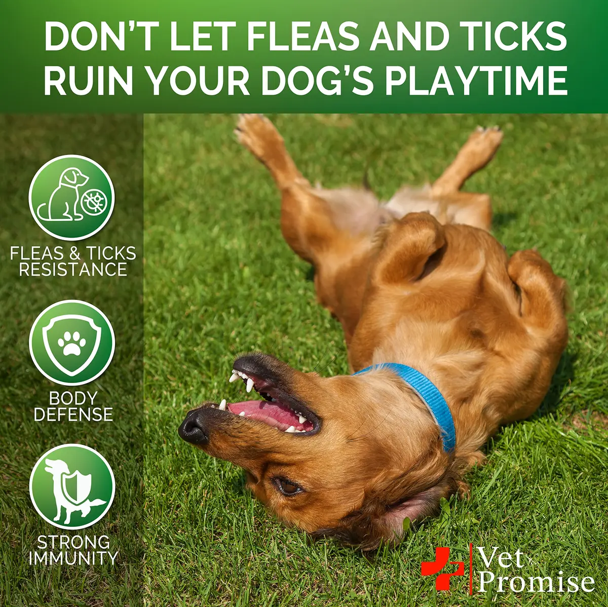 Vet Promise Flea and Tick Prevention for Dogs Chewables 120 Chews | Natural Flea & Tick Control - view 4