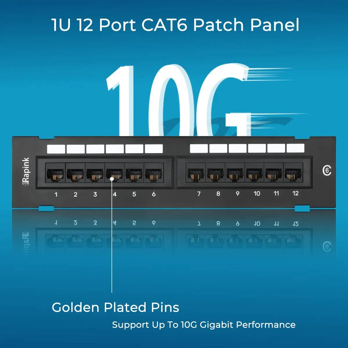 Rapink 12-Port Cat6 Ethernet Patch Panel 10Gbps | 10-Inch Width, Gold-Plated RJ45 - view 4