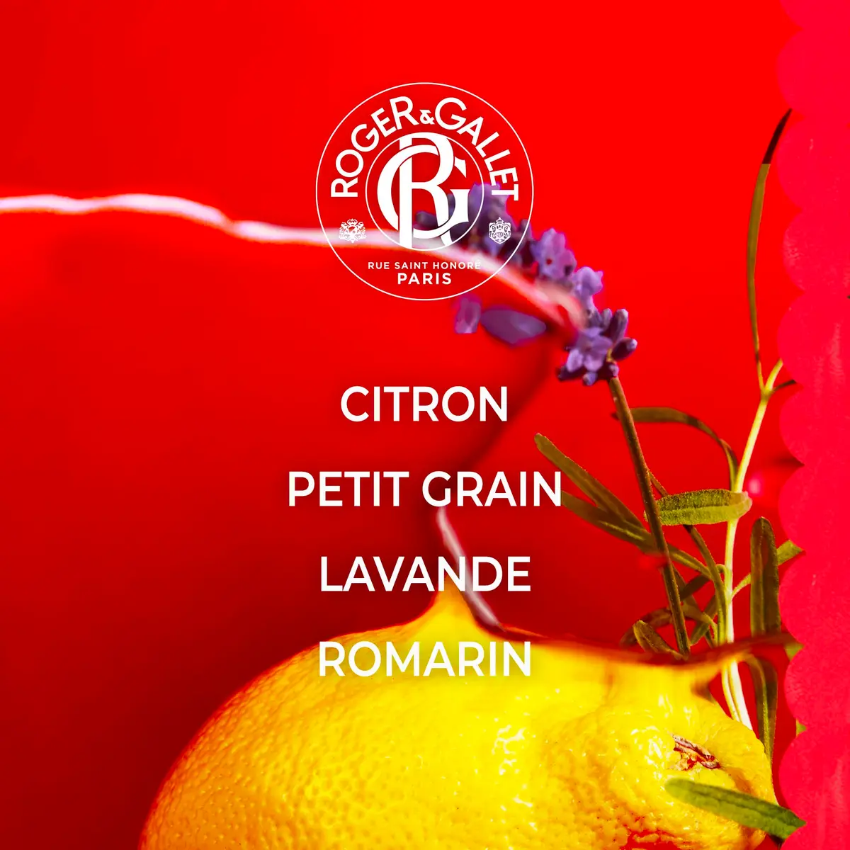 ROGER & GALLET Jean Marie Farina Perfumed Soap 3 x 3.5 oz | French citrus fragrance, gentle skin cleansing - view 3