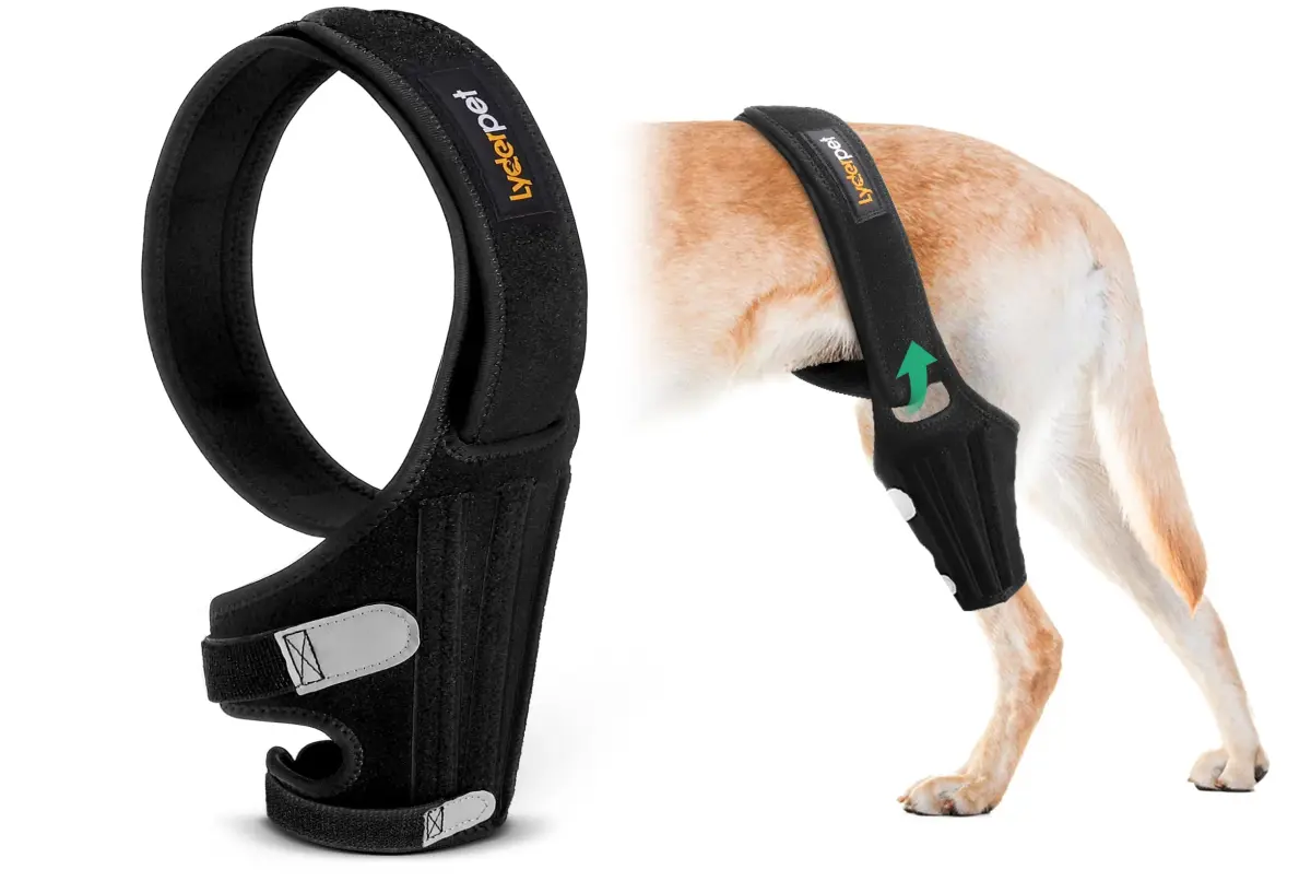Lyderpet Dog ACL Brace for Rear Leg XL | Supports Cruciate Ligament Injuries & Post-Surgery Recovery - main product image