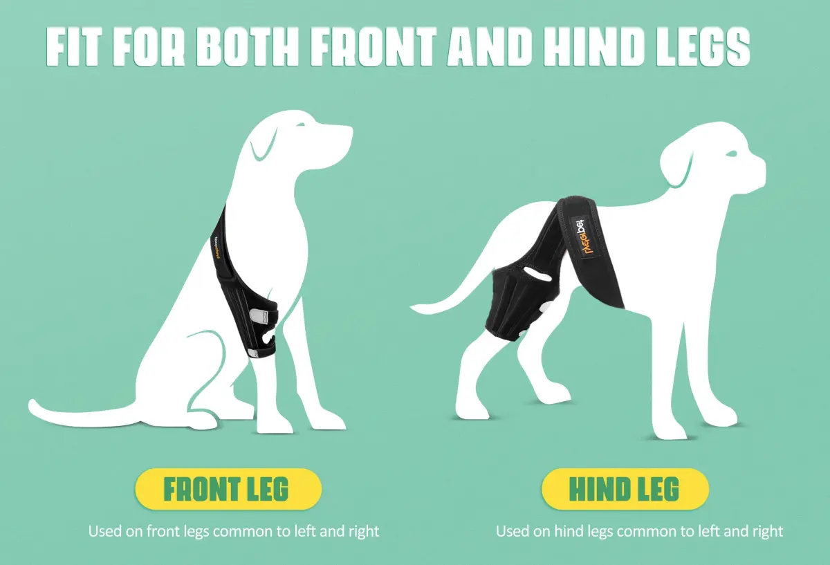 Lyderpet Dog Knee Brace for Back Leg Support, Small Black Neoprene Brace with Metal Stabilizers | Cruciate Ligament Support for Torn ACL - view 4