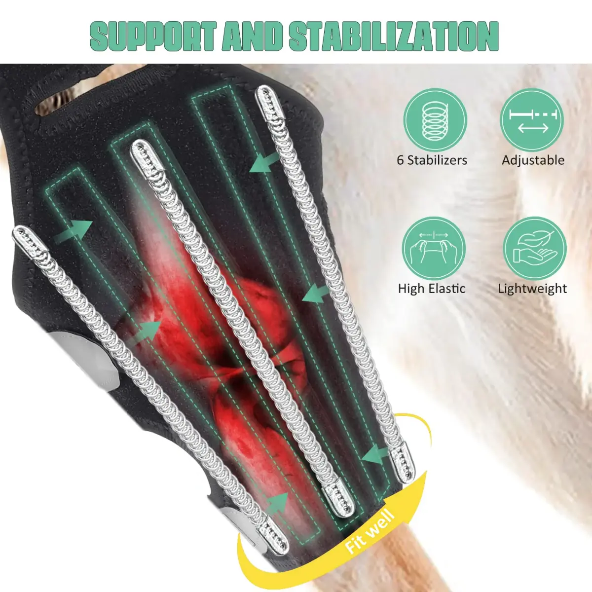 Lyderpet Dog Knee Brace for Torn ACL Hind Leg, Medium Size | Strong Support for Joint Care - view 2