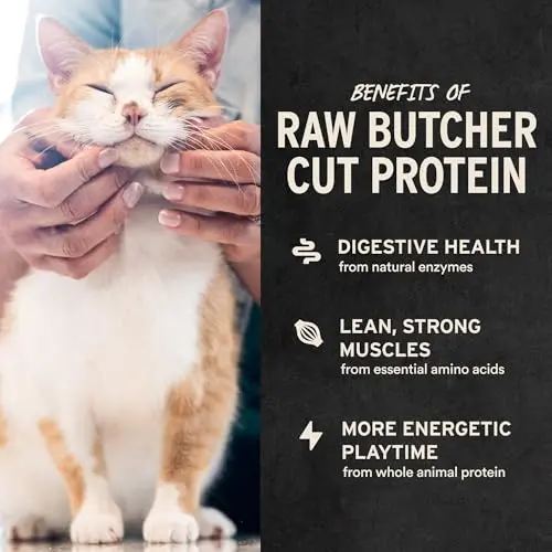Vital Essentials Freeze Dried Minnows Cat Treats 0.5 oz (14 g) | Single Ingredient Protein Snack - view 4