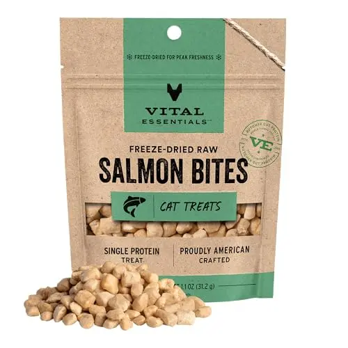 Vital Essentials Freeze Dried Salmon Cat Treats 1.1 oz (31 g) | High Protein Raw Cat Food - main product image
