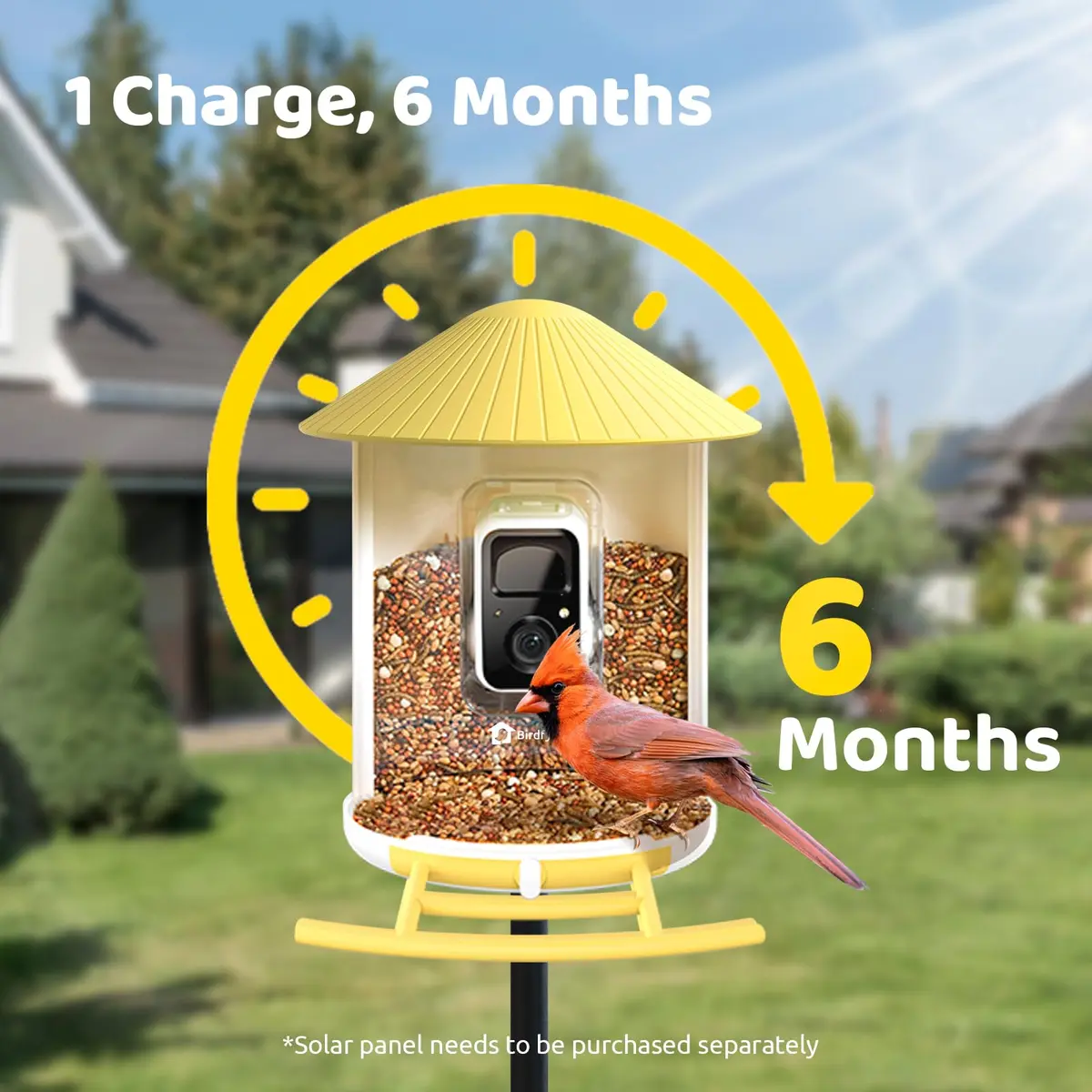 NETVUE Birdfy Smart Bird Feeder with AI Camera | Wireless Outdoor Birdwatching Camera in Yellow (8 x 7 x 11 inches) - view 7