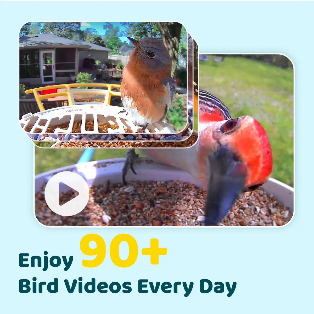 NETVUE Birdfy Smart Bird Feeder with AI Camera | Wireless Outdoor Birdwatching Camera in Yellow (8 x 7 x 11 inches) - view 3