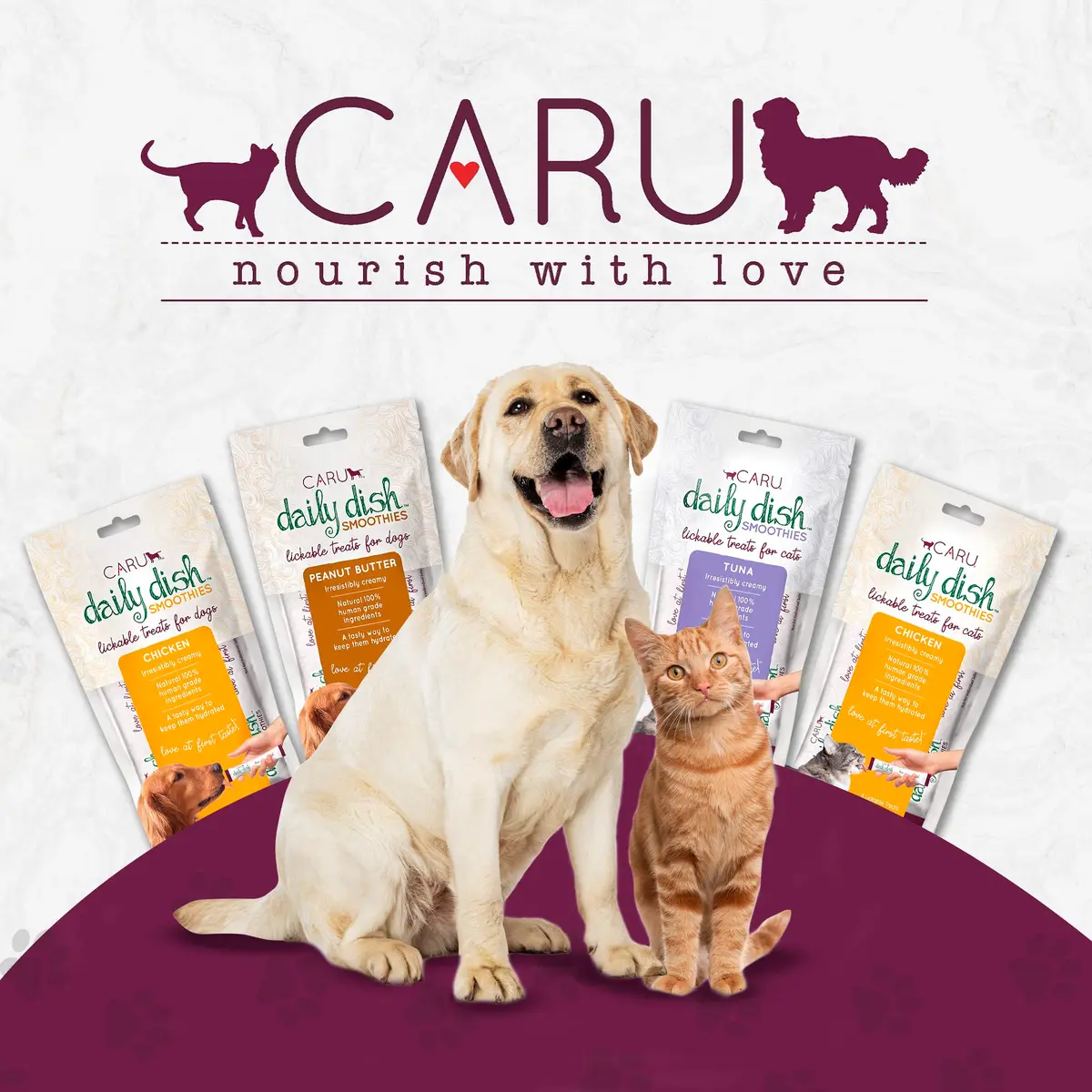 Caru Daily Dish Smoothies - Lickable Chicken Cat Treat 4 Pouches Pack of 6 | Wholesome Protein Snack for Cats - view 6