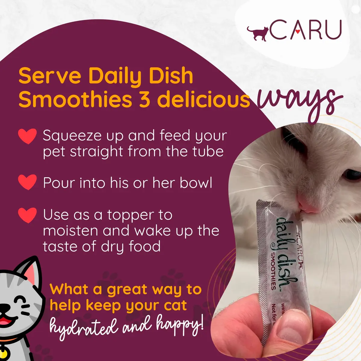 Caru Daily Dish Smoothies - Lickable Chicken Cat Treat 4 Pouches Pack of 6 | Wholesome Protein Snack for Cats - view 2