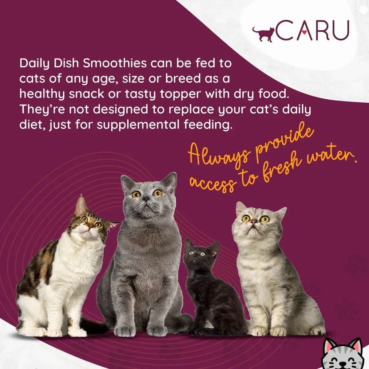Caru Daily Dish Smoothies - Lickable Chicken Cat Treat 4 Pouches Pack of 6 | Wholesome Protein Snack for Cats - view 4