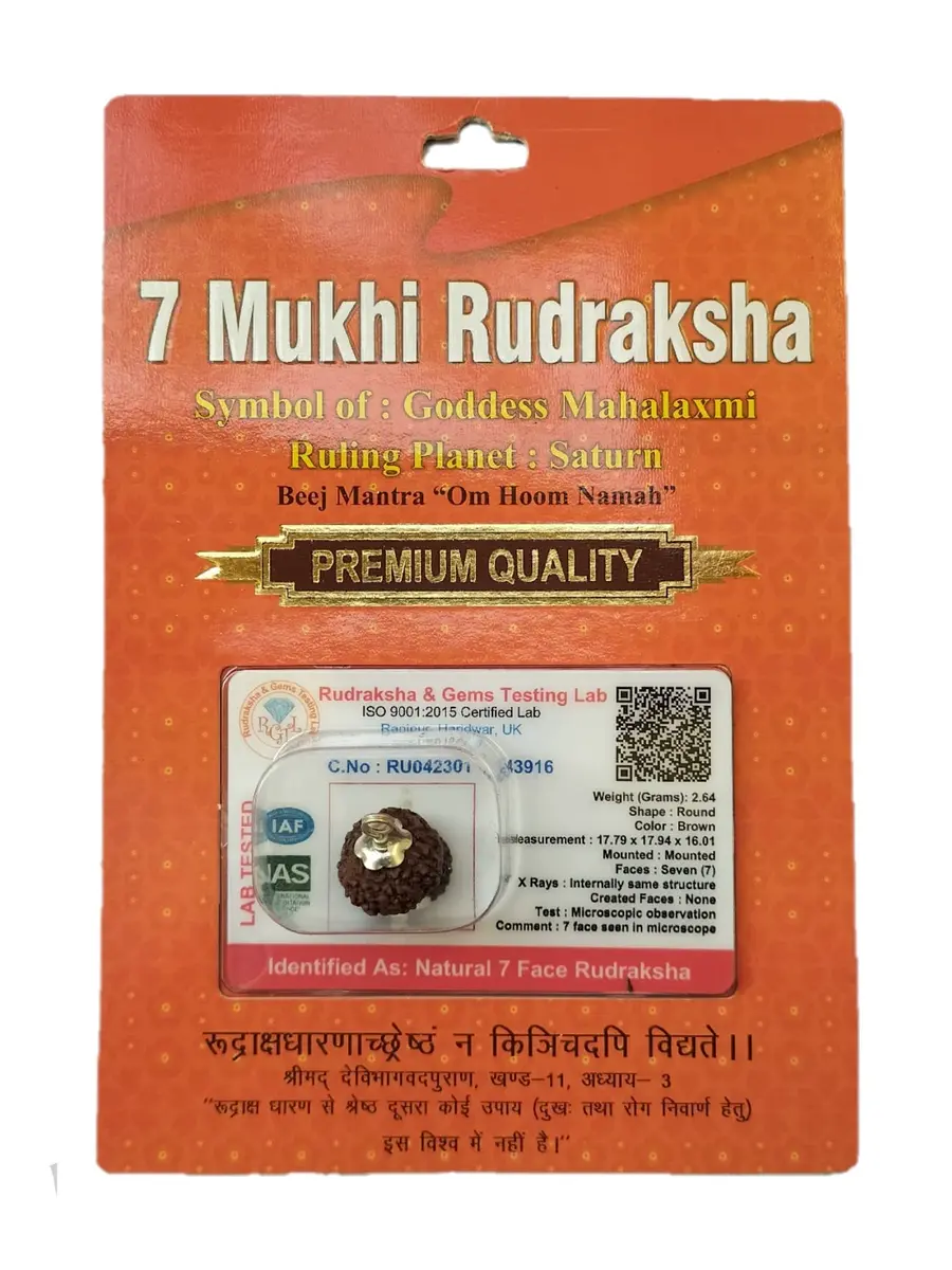 BHAKTI SHRINGAR 7 Mukhi Rudraksha Pendant with Silver Capping | Lab Certified for Men & Women - main product image