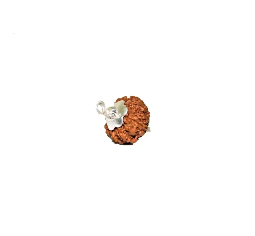 BHAKTI SHRINGAR 7 Mukhi Rudraksha Pendant with Silver Capping | Lab Certified for Men & Women - view 3