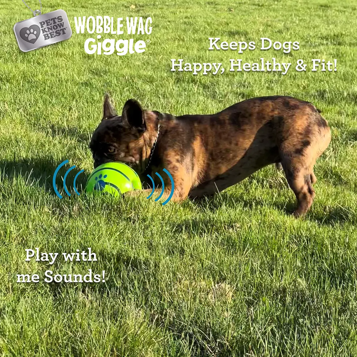 Wobble Wag Giggle Ball 2 Pack | Interactive Dog Toy with Giggle Sounds, Glow & Non-Toxic Vinyl (5.5") - view 5