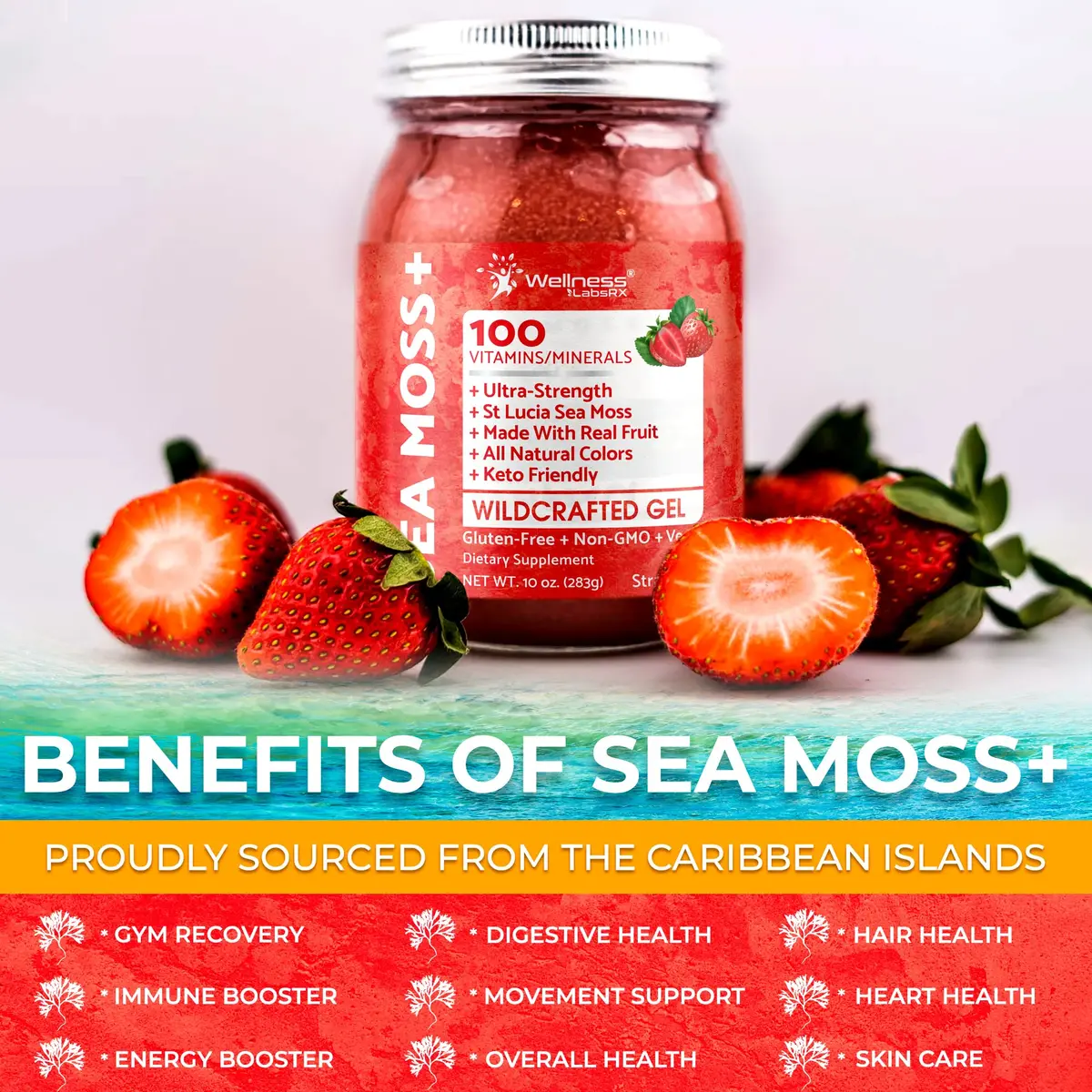 WELLNESS LABSRX Strawberry Sea Moss Gel 300ml (10 Fl Oz) | Nutrient-Rich Superfood for Wellness - view 7