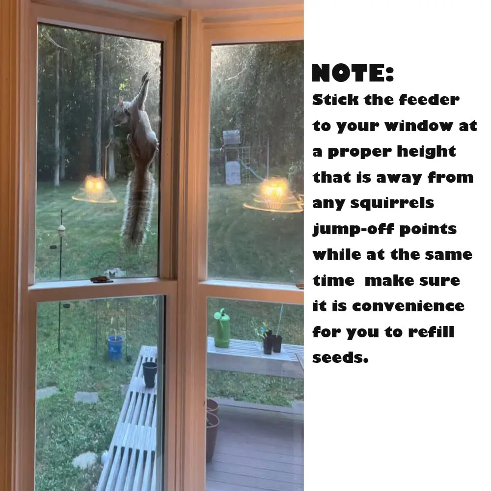 Forfuture-go Bird Feeder Birds House for Outdoor Window Wild Birds, Cardinal, Bluebird | Acrylic, Clear, 5.91in x 2.36in x 5.91in - view 7