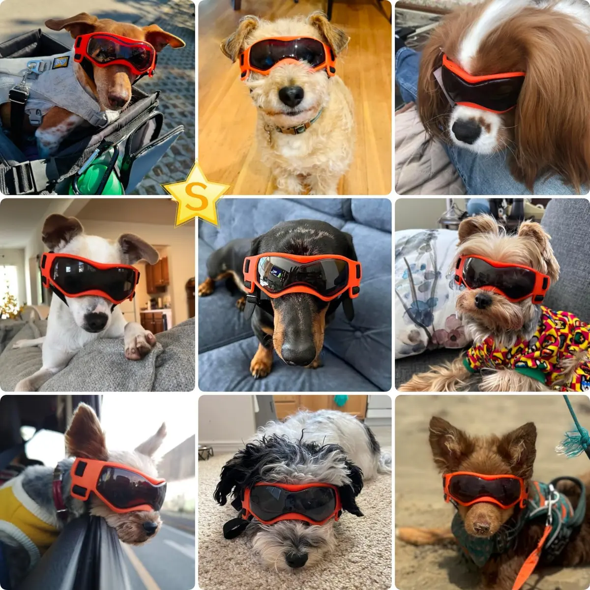 PETLESO Small Breed Dog Goggles UV Protection Puppy Eyewear for Outdoor Riding Driving, Orange S | Curved Lens & Soft Frame - view 2