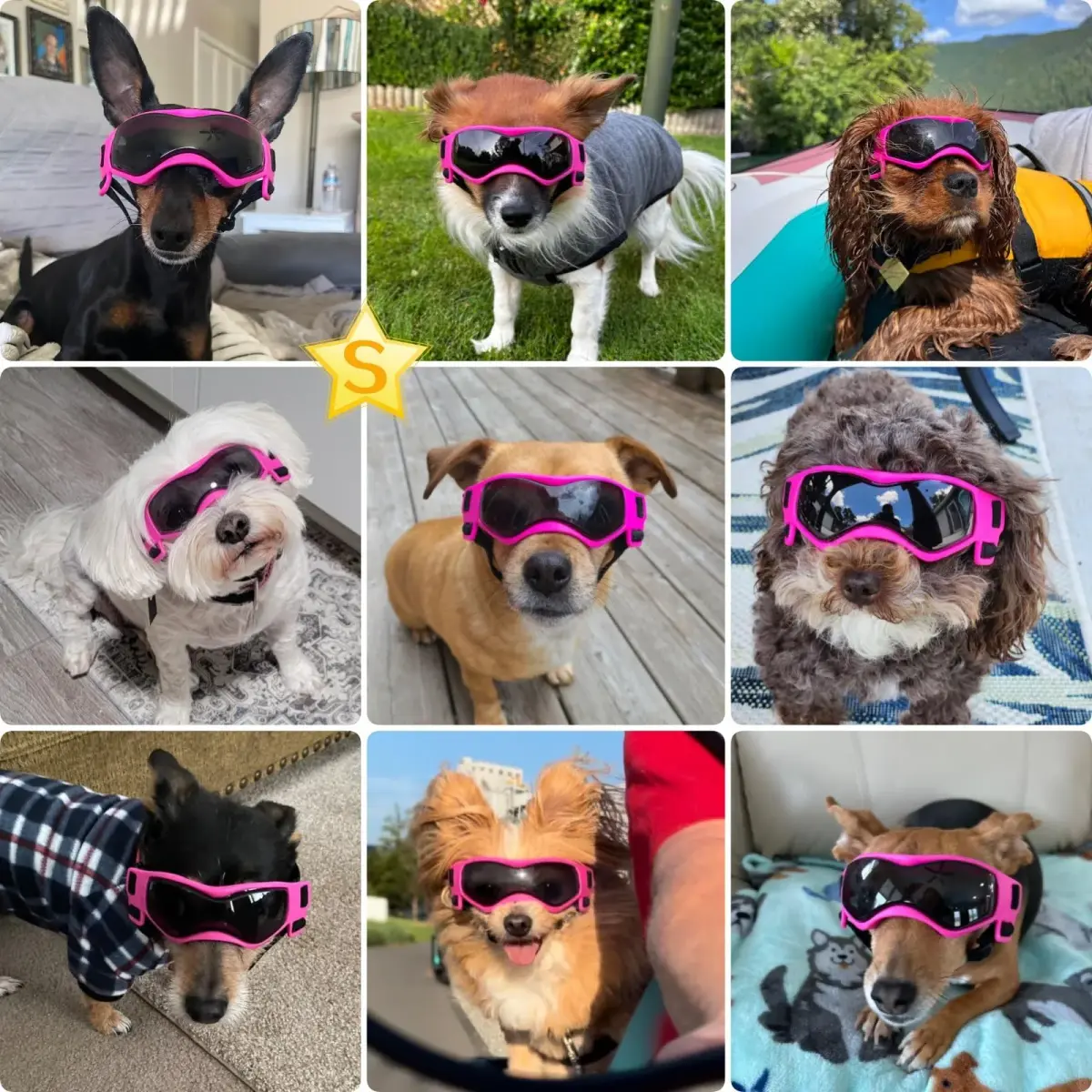 PETLESO Pink Dog Goggles for Small Breeds | UV Protection for Outdoor Riding & Driving - view 2