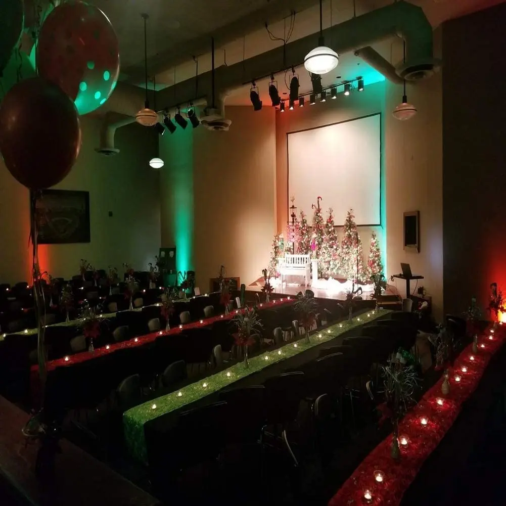Litake DJ Par Lights, RGB 36 LED Stage Lights Sound Activated,Remote & DMX Controlled, 8 Pack | RGB 36 LEDs for Party & Events - view 9