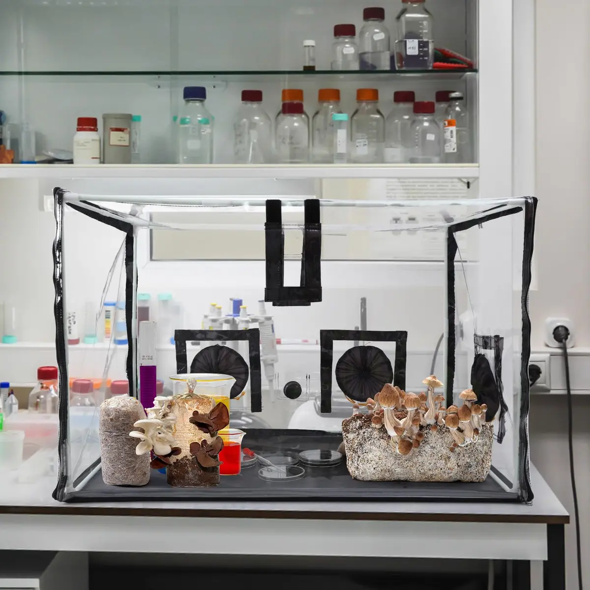 Lovely Ran Large Still Air Box Mushroom Mycology Fume Hood 31.5x20.5x20.5 inch | Mushroom Cultivation Enclosure - view 6