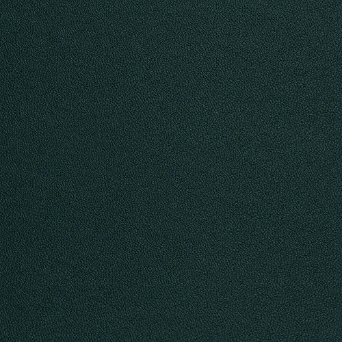Besezx Leather Repair Patch Tape Kit Green 30in x 16in | Self-Adhesive for Furniture & Car Seats - main product image