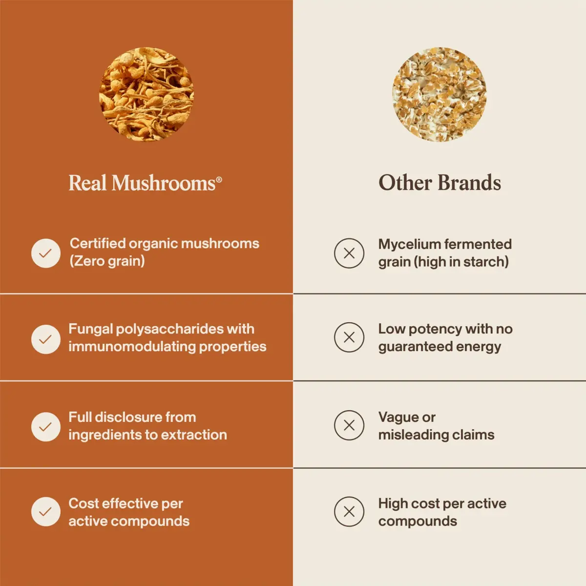Real Mushrooms Cordyceps Mushroom Powder 150 Servings (5.29 oz / 150 g) | Organic Cordyceps Extract with 8% Beta-Glucans - view 6